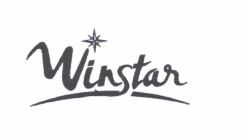 Trademark WINSTAR + LOGO