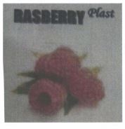 Trademark RASBERRY PLAST + LUKISAN