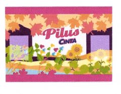 Trademark PILUS CINTA