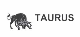 Trademark TAURUS + LOGO