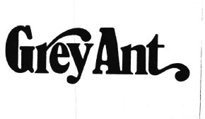 Trademark GREY ANT + LOGO