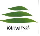 Trademark KALIWLINGI + LOGO