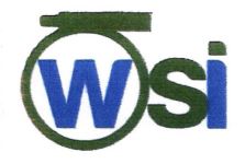 Trademark WSI + LOGO