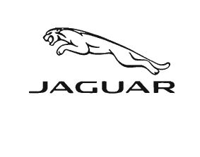 Trademark JAGUAR + LOGO