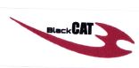 Trademark BLACK CAT + LOGO