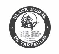 Trademark BLACKHORSE + LOGO