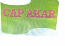 Trademark CAP AKAR + LOGO