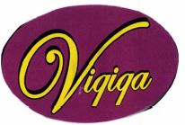 Trademark VIQIQA + LOGO