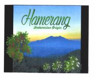 Trademark HAMERANG INDONESIAN ORIGIN + LUKISAN