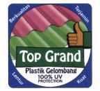 Trademark TOP GRAND + LOGO