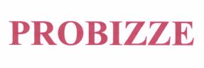 Trademark PROBIZZE + LOGO