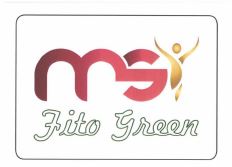 Trademark MSI FITO GREEN + LOGO