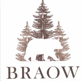 Trademark BRAOW + LOGO