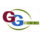 Trademark GG ORIGIN + LOGO