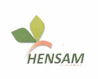 Trademark HENSAM + LOGO