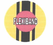 Trademark FLEXIBAND + LOGO