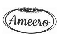 Trademark AMEERO + LOGO