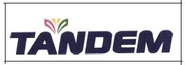 Trademark TANDEM + LOGO