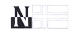 Trademark N + LOGO