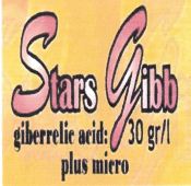 Trademark STARS GIBB + LOGO