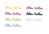 Trademark ALLEN VALLEN