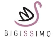 Trademark BIGISSIMO + LOGO