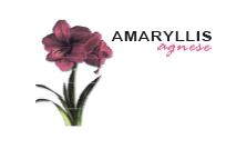 Trademark AMARYLLIS AGNESE + LUKISAN