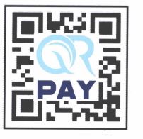 Trademark QR PAY + LOGO