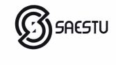 Trademark SAESTU + LOGO