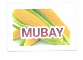 Trademark MUBAY + LOGO