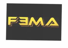 Trademark FEMA + LOGO