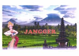 Trademark JANGGER