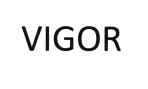 Trademark VIGOR