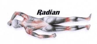 Trademark RADIAN & A MUSCLEMAN DEVICE