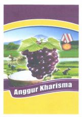 Trademark ANGGUR KHARISMA + LUKISAN