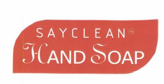 Trademark SAYCLEAN