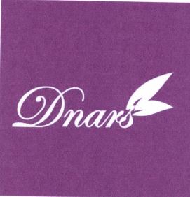 Trademark DNARS + LOGO