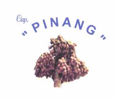 Trademark Cap. PINANG