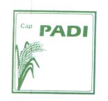 Trademark Cap. PADI