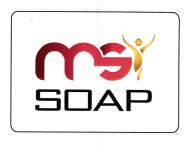 Trademark MSI SOAP + Lukisan