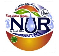 Trademark NURSANTRI + Logo