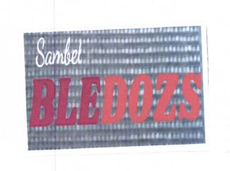 Trademark BLEDOZS