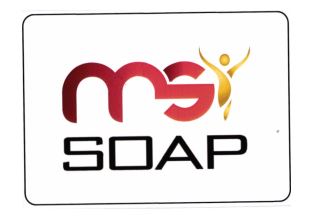 Trademark MSI SOAP + Lukisan