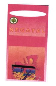 Trademark NEGATAL + LUKISAN