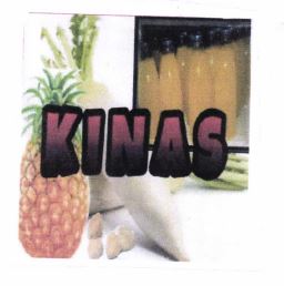 Trademark KINAS