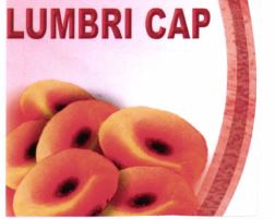 Trademark LUMBRI CAP DAN LUKISAN