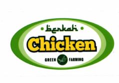 Trademark Berkah Chicken Green Farming