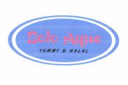 Trademark SOLO AQUE + LOGO