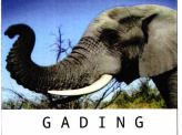 Trademark GADING + logo