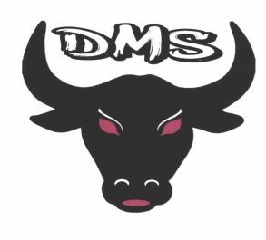 Trademark DMS + LOGO